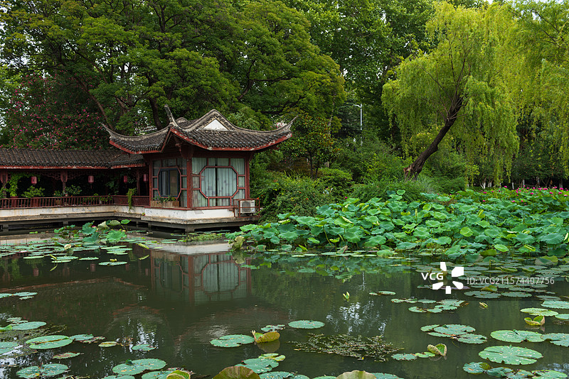 湖北襄阳荟园夏日荷花风景图片素材