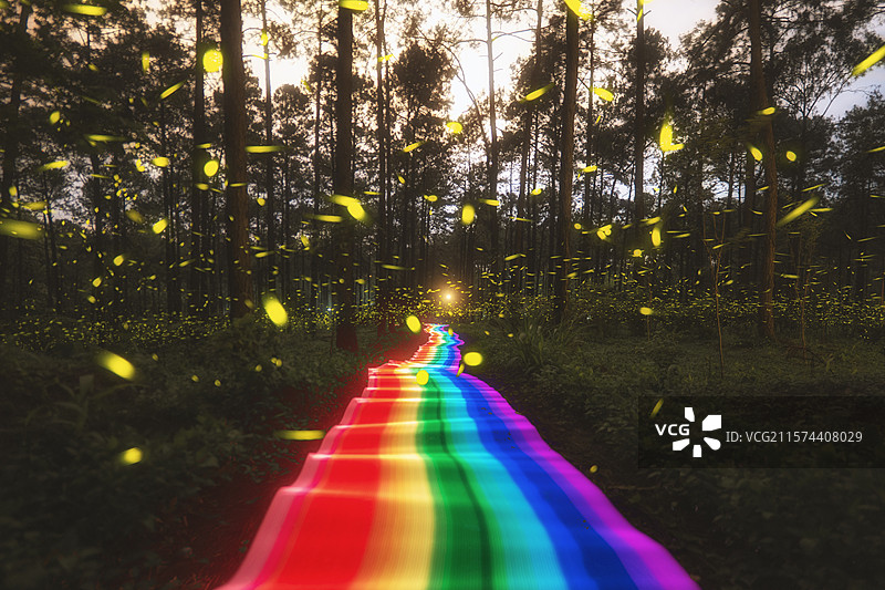 萤火虫在柳州君武森林公园树林间飞舞图片素材