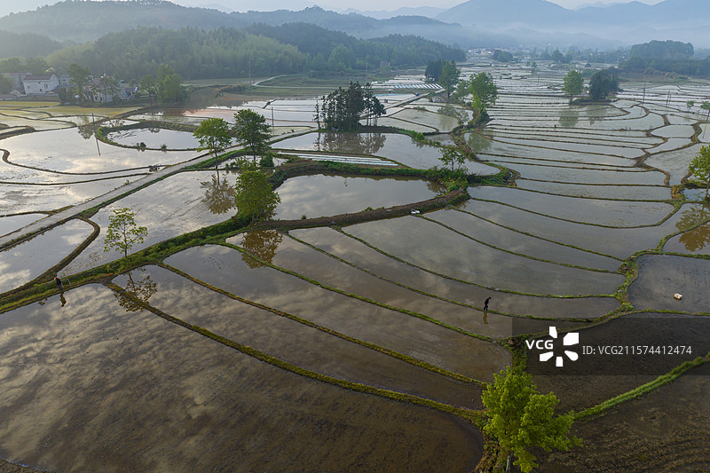 旌德三溪云上梯田图片素材