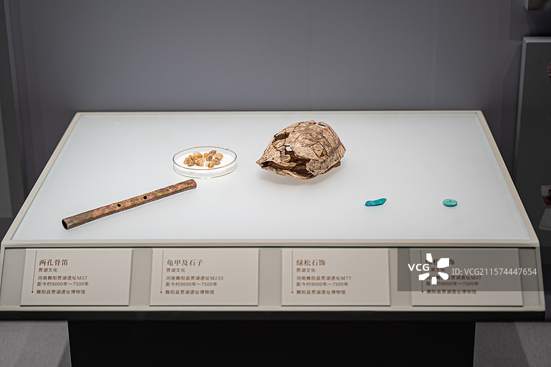 贾湖文化 两孔骨笛 龟甲和石子 舞阳县贾湖遗址博物馆图片素材