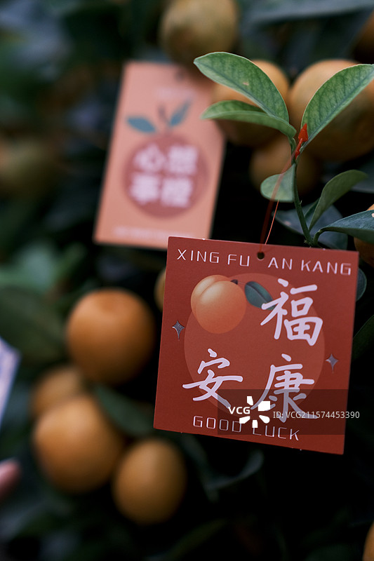 花卉市场图片素材