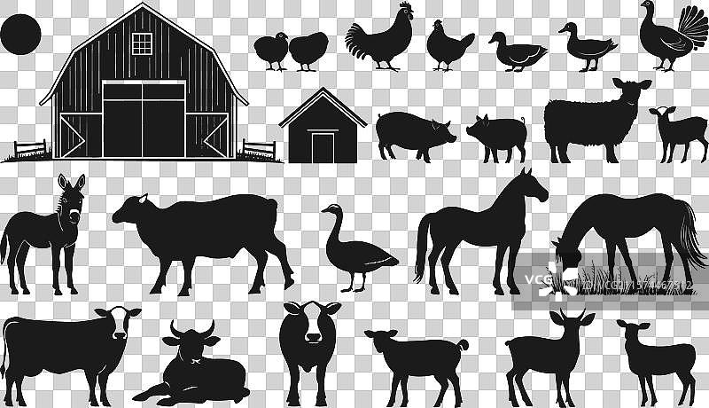 农场家畜剪影集与动物谷仓图片素材