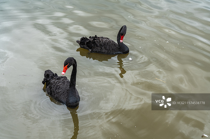 杭州湾湿地公园景色图片素材