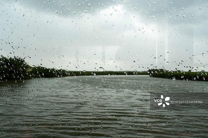 杭州湾湿地公园景色图片素材