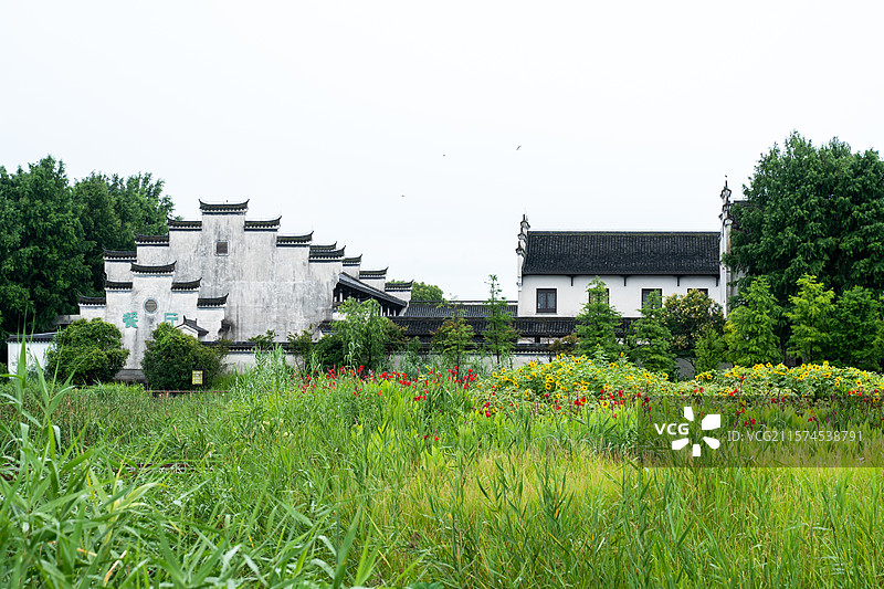 杭州湾湿地公园景色图片素材
