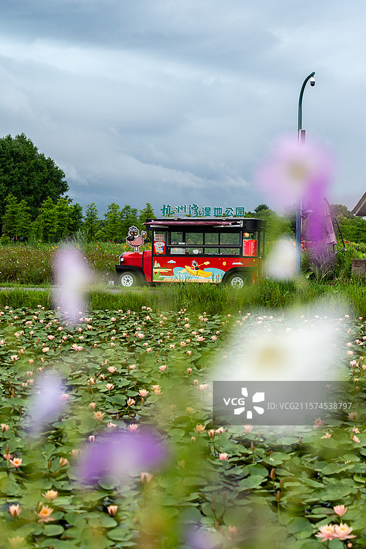 杭州湾湿地公园景色图片素材