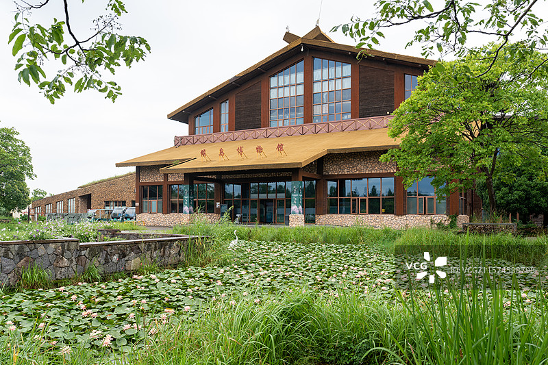 杭州湾湿地公园景色图片素材