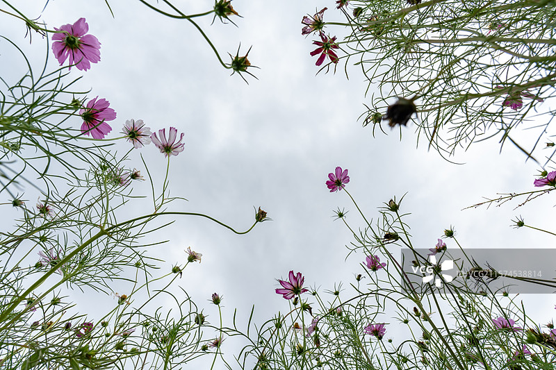 杭州湾湿地公园景色图片素材