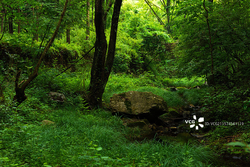 五山堰河乡村旅游区图片素材