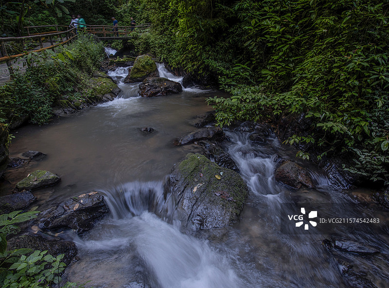 《雨林中的小溪》瑞丽莫里热带雨林景区图片素材