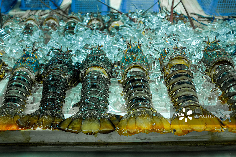 越南岘港夜市龙虾图片素材