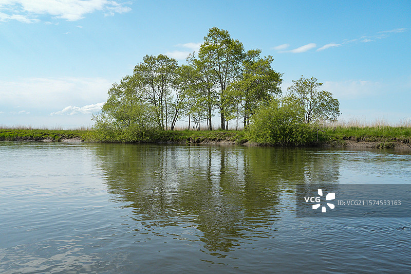 一棵有缺口的心形树图片素材