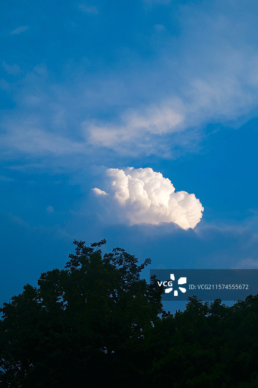 城市蓝调天空蓝天白云日照云朵海绵云夜景植物剪影图片素材