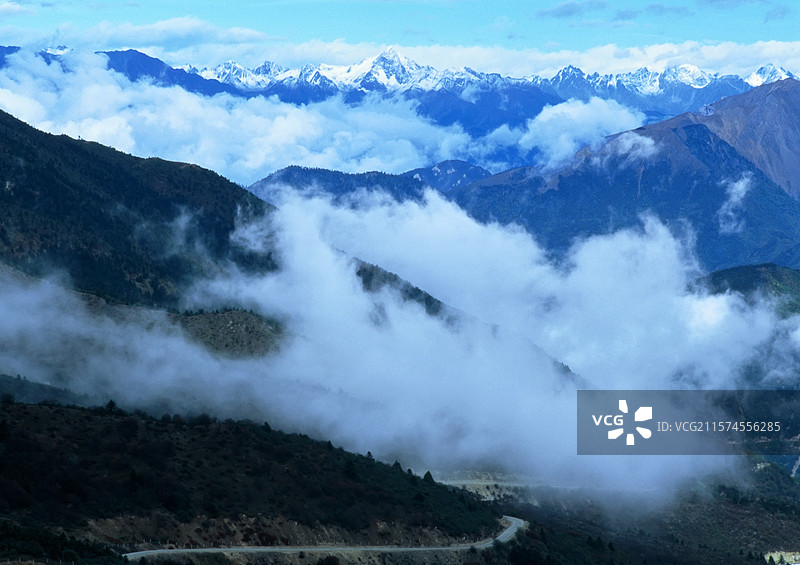 云南  白茫雪山   云雾  森林  道路 云海  雪山  高山图片素材
