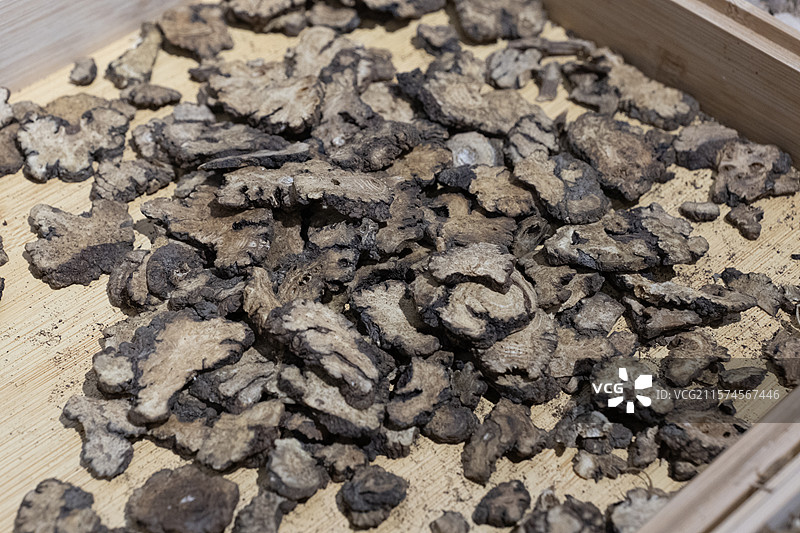 中草药-苍术图片素材