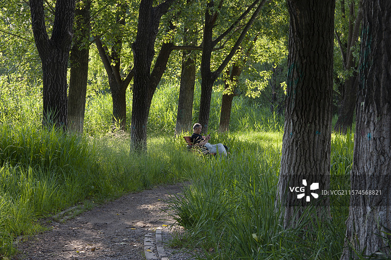 森林和老人图片素材