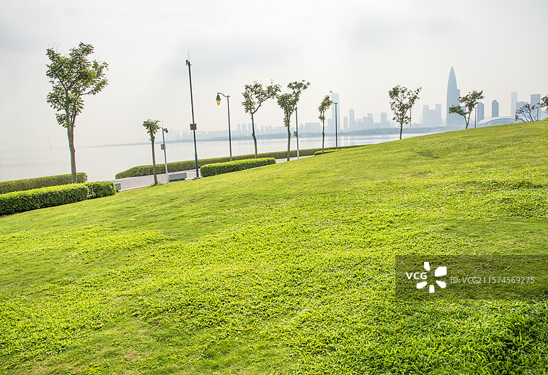 深圳湾的绿色草地图片素材