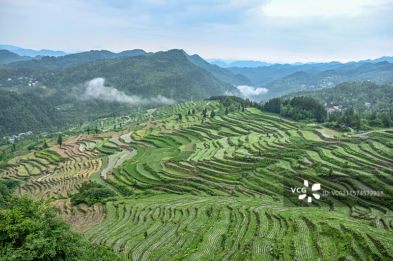 重庆酉阳：绿意盎然的梯田风光图片素材