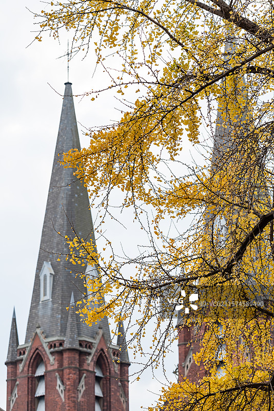 上海徐家汇天主堂图片素材