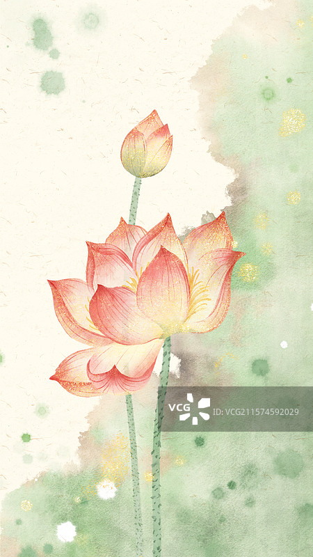 夏天荷花手机壁纸图片素材