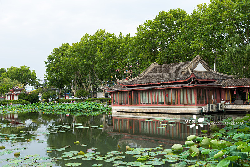 湖北襄阳荟园夏日荷花风景图片素材