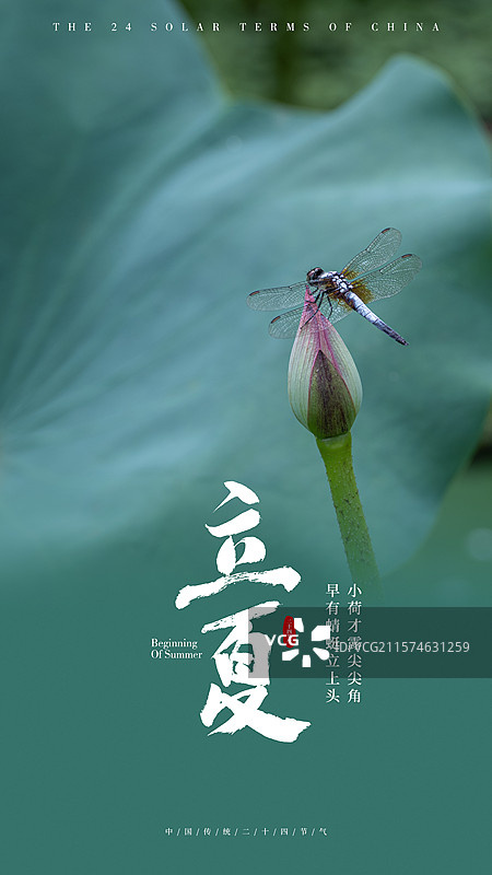 立夏节气海报图片素材