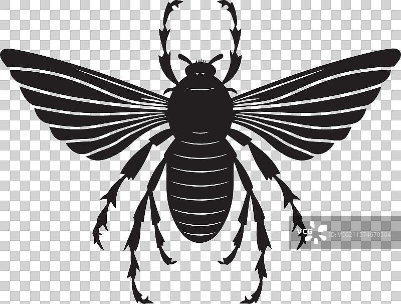 跳蚤标志，痒痒但可爱的跳蚤标志，一个恼人的害虫图片素材