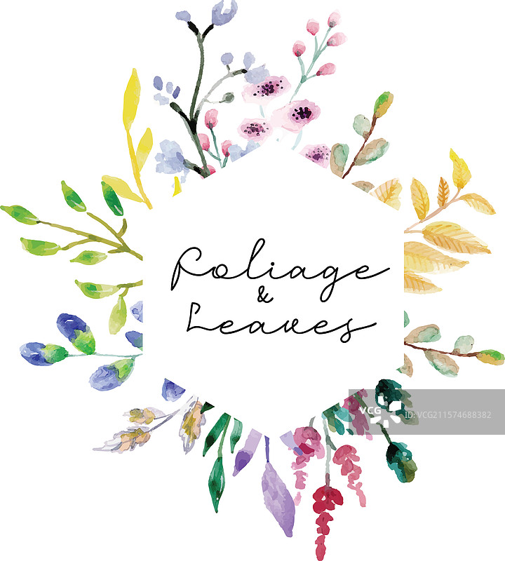 水彩画的叶子和植物叶片图片素材