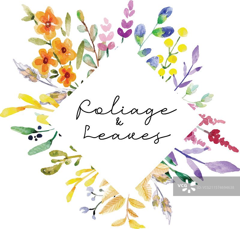 水彩画的叶子和植物叶片图片素材