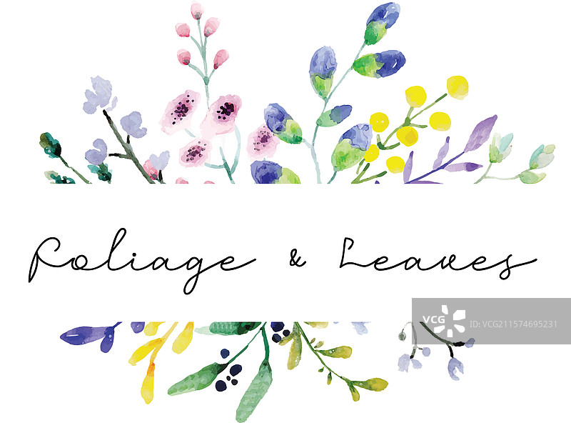 叶子和植物的水彩画图片素材