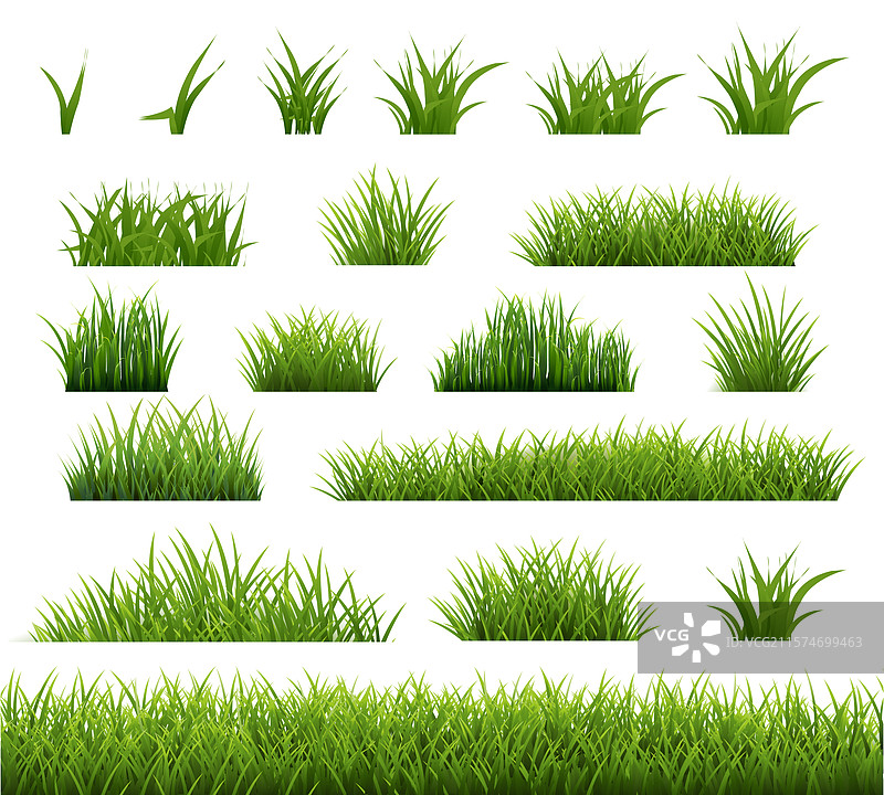 春天的绿色草坪与白色背景图片素材