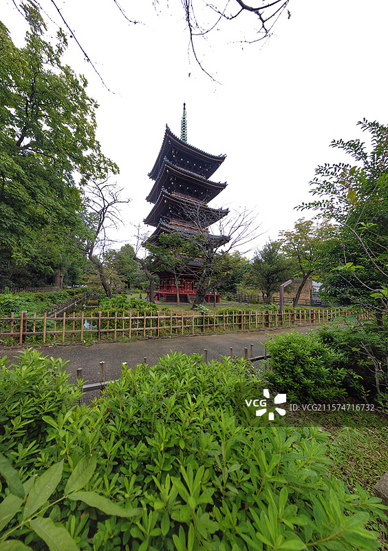 东京上野公园，日本第一座公园，历史悠久，文化底蕴深厚，樱花、莲花美如仙境，博物馆群与古迹更是熠熠生辉图片素材