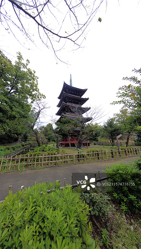 东京上野公园，日本第一座公园，历史悠久，文化底蕴深厚，樱花、莲花美如仙境，博物馆群与古迹更是熠熠生辉图片素材