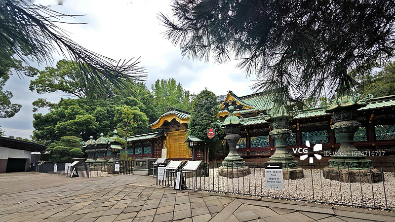 东京上野公园，日本第一座公园，历史悠久，文化底蕴深厚，樱花、莲花美如仙境，博物馆群与古迹更是熠熠生辉图片素材