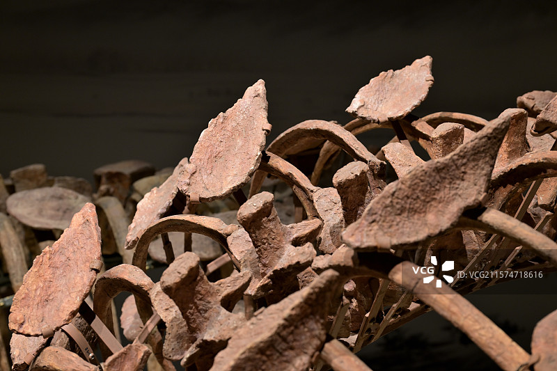 中国缙云甲龙，浙江缙云，白垩纪中期，恐龙化石标本，恐龙模型，龙吟九州·中国恐龙大展，上海自然博物馆图片素材