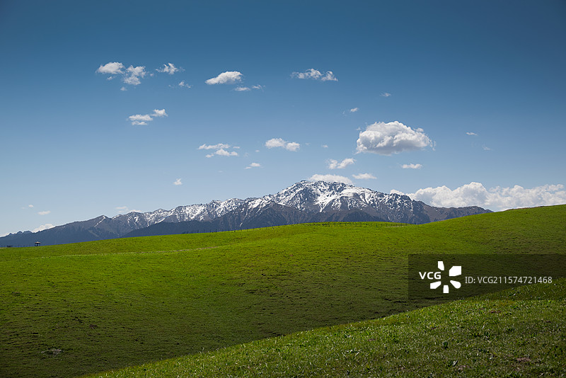 乌拉斯台的牧场图片素材