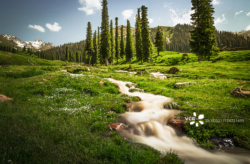 那拉提的溪流图片素材