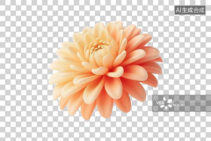 【AI数字艺术】3D渲染渐变色菊花图片素材