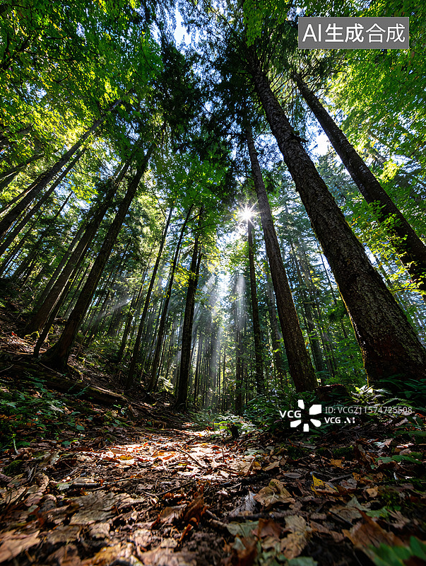 【AI数字艺术】阳光穿透森林图片素材