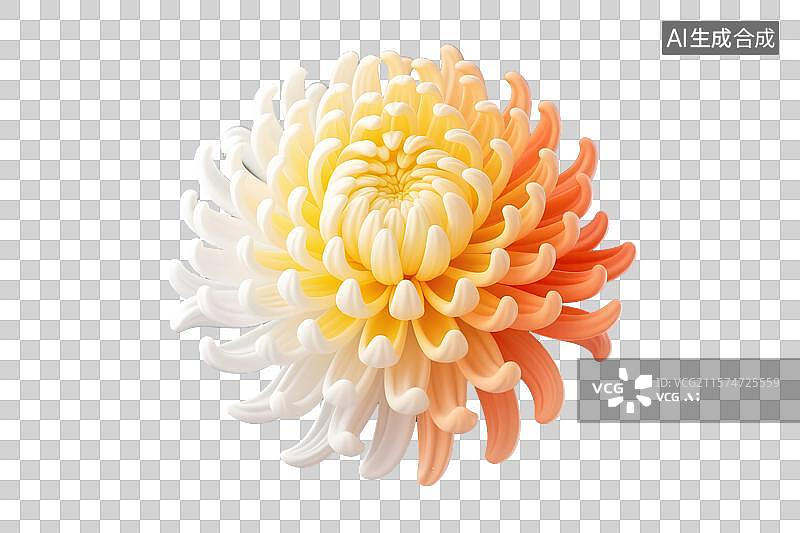 【AI数字艺术】3D渲染渐变色菊花图片素材