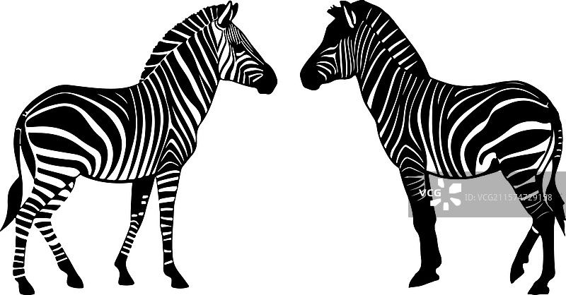 抽象的斑马剪影图像图片素材