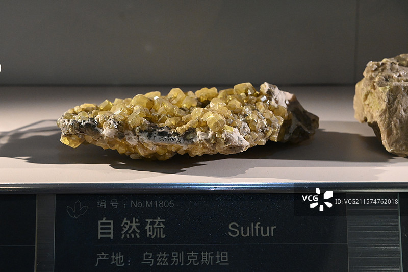 中国地质博物馆图片素材