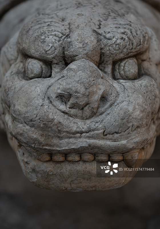北京大觉寺中的石狮子特写图片素材