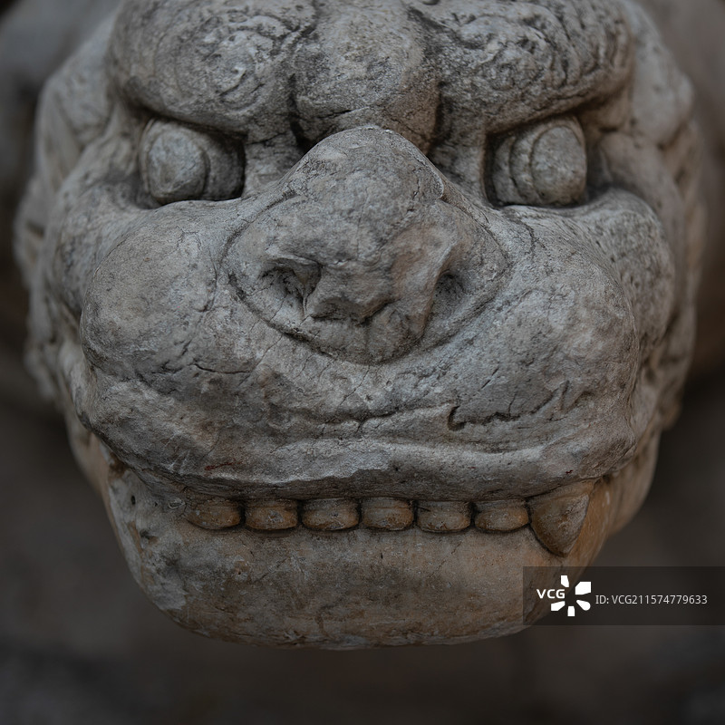 北京大觉寺中的石狮子特写图片素材