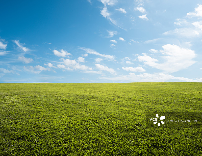 草地背景图片素材