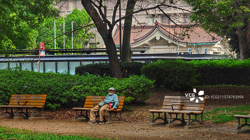 东京上野公园，日本第一座公园，历史悠久，文化底蕴深厚，樱花、莲花美如仙境，博物馆群与古迹更是熠熠生辉图片素材