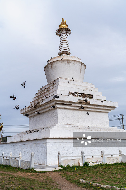 甘南高原晴空万里，金色草原与白塔相映，牧民牵着牦牛缓缓穿行，远处雪山若隐若现。图片素材