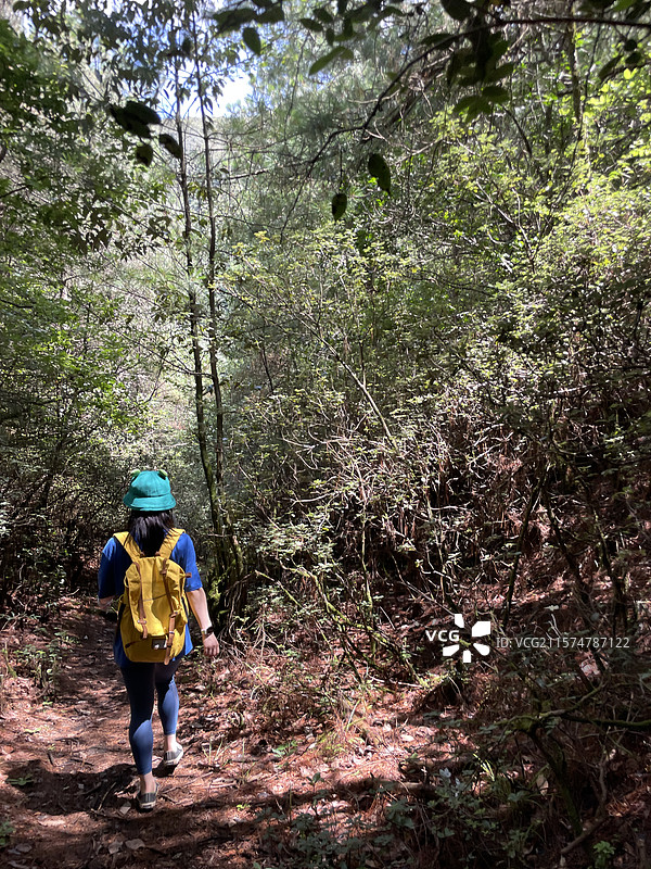 苍山徒步图片素材