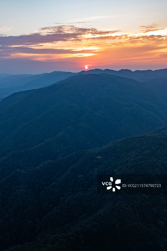 云南德宏芒市轩岗乡芒杏河保护地/中缅灰叶猴/菲氏叶猴栖息地图片素材