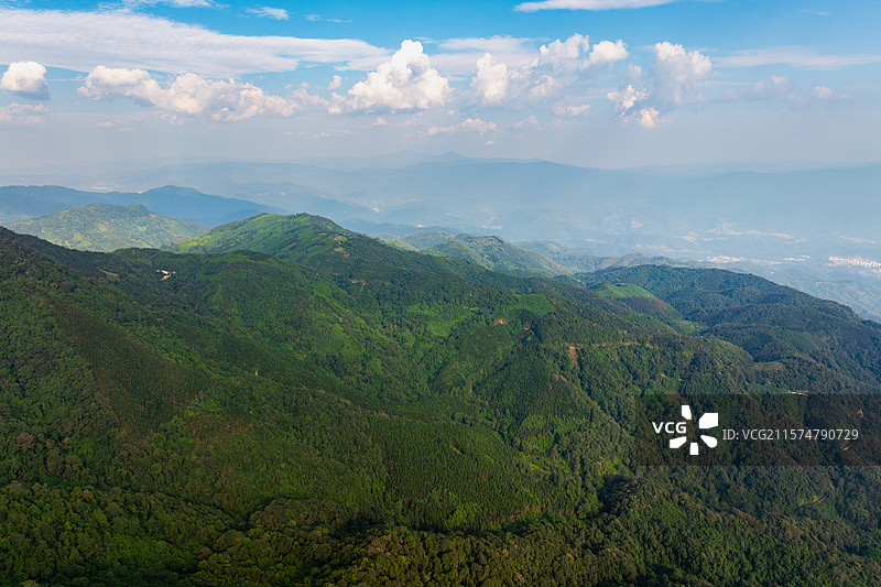 云南德宏芒市轩岗乡芒杏河保护地/中缅灰叶猴/菲氏叶猴栖息地图片素材